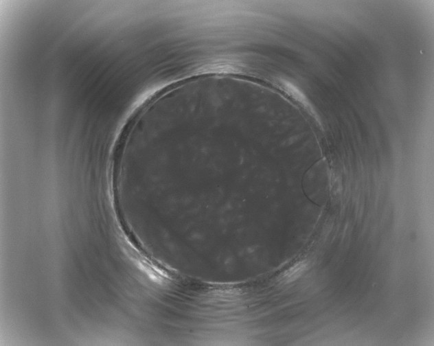 X0000066501035200603201318