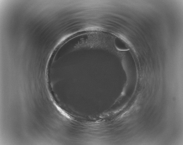 X0000066501037200603201318