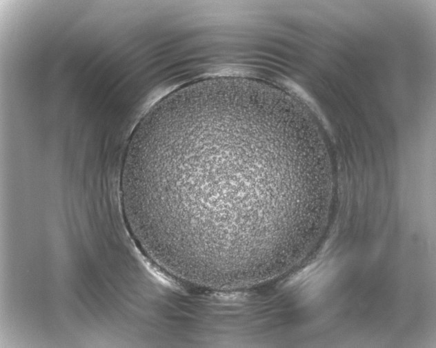 X0000066501041200603201318