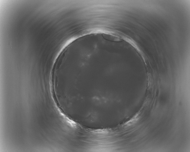 X0000066501048200603201318