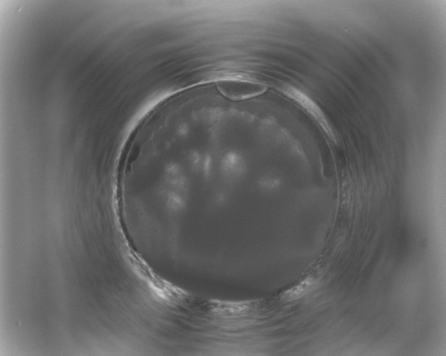 X0000066501051200603201318