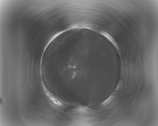 X0000066501052200603201318