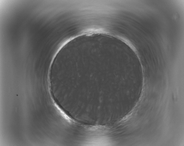 X0000066501056200603201318