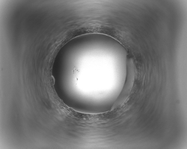 X0000066501057200603201317
