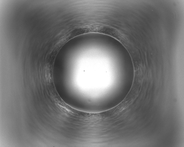 X0000066501058200603201317