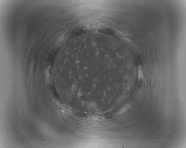 X0000066501059200603201317