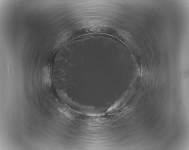 X0000066501060200603201317