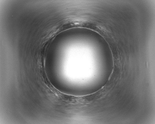 X0000066501061200603201317