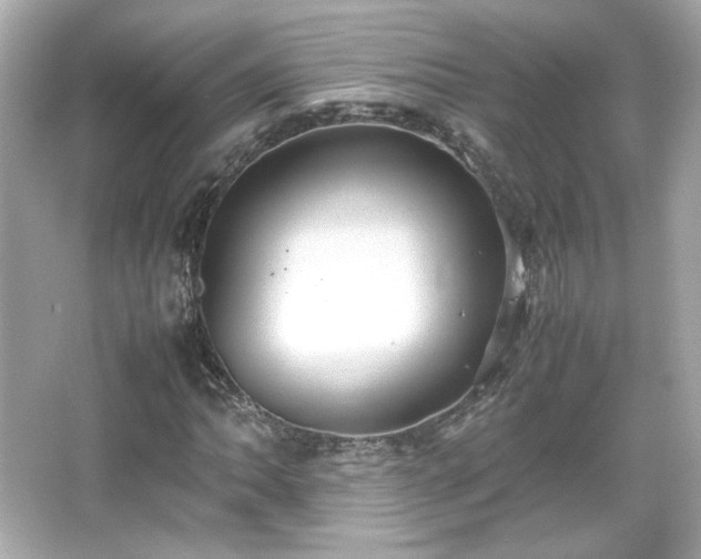 X0000066501062200603201317