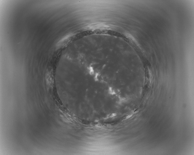 X0000066501063200603201317