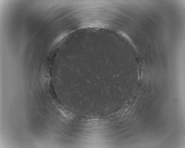 X0000066501064200603201317