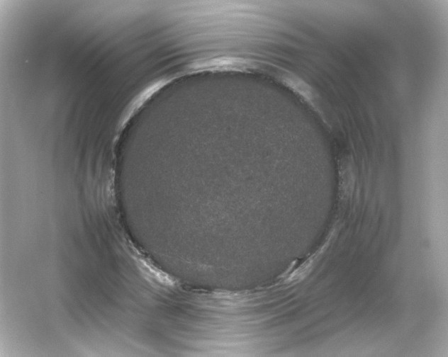 X0000066501066200603201317