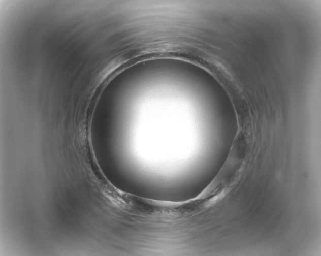 X0000066501073200603201317