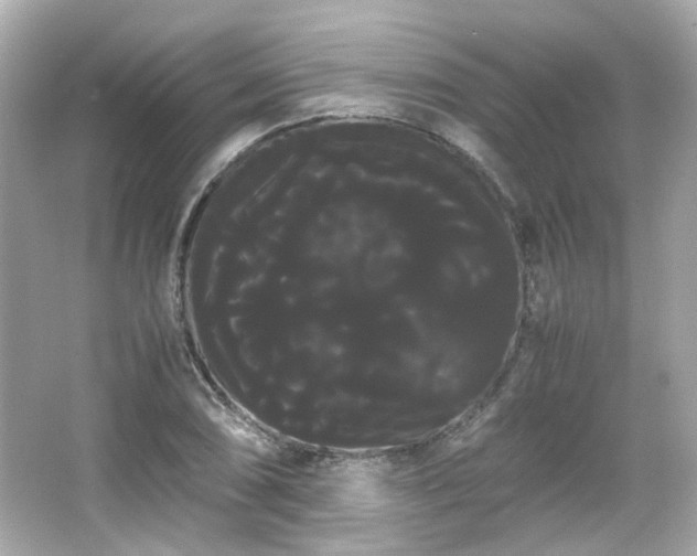 X0000066501074200603201317