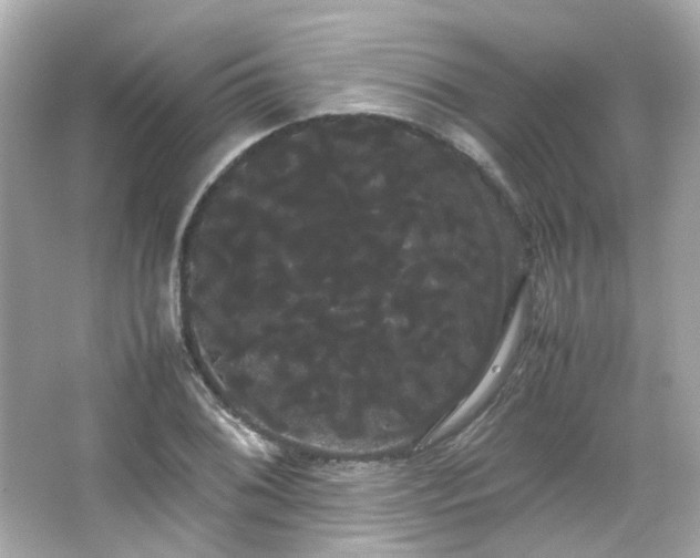 X0000066501076200603201317