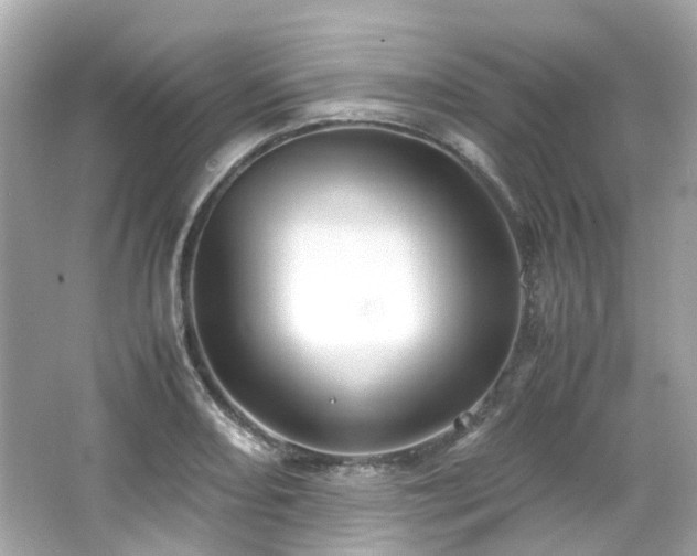 X0000066501082200603201317