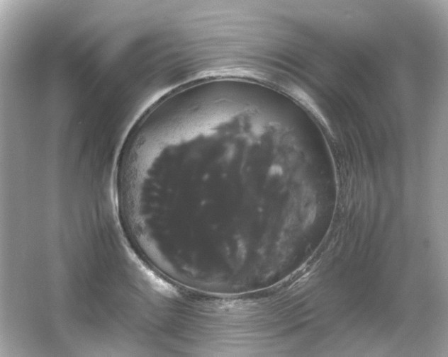 X0000066501084200603201317