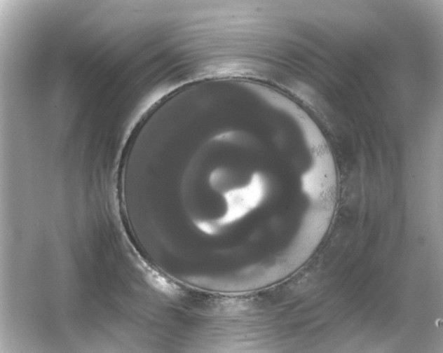 X0000066501086200603201317