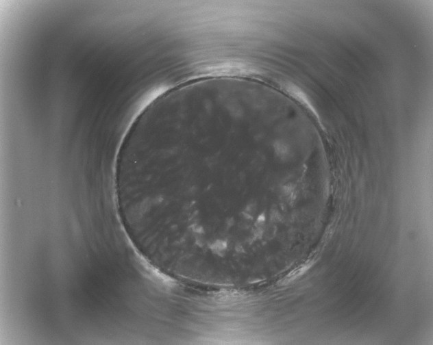 X0000066501087200603201317