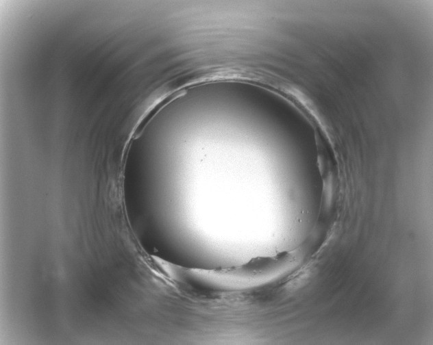 X0000066501097200603201316