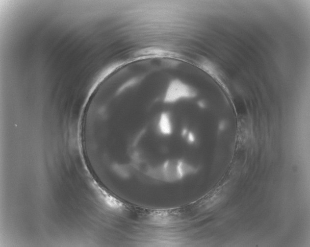 X0000066501098200603201316