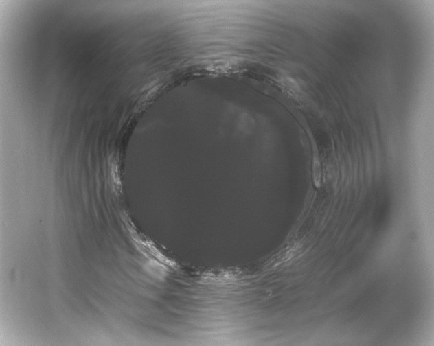 X0000066501106200603201316