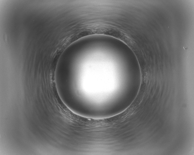 X0000066501108200603201316