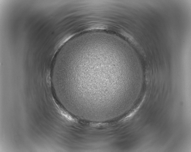 X0000066501113200603201316