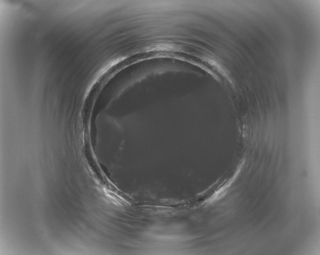 X0000066501117200603201316