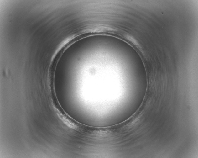 X0000066501122200603201316