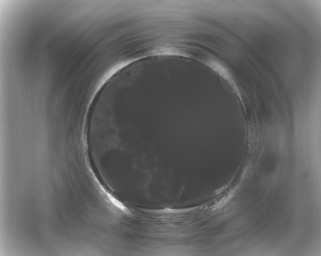 X0000066501141200603201316