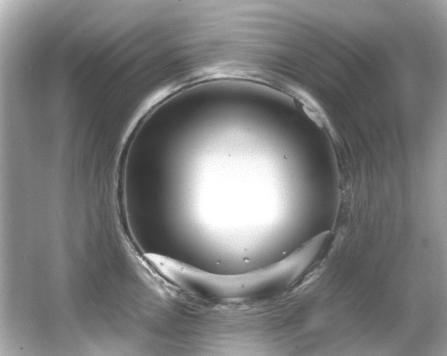 X0000066501146200603201316