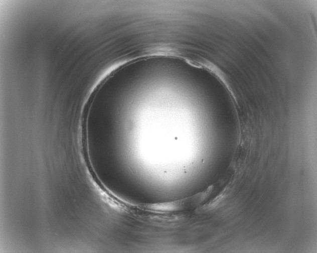 X0000066501147200603201316