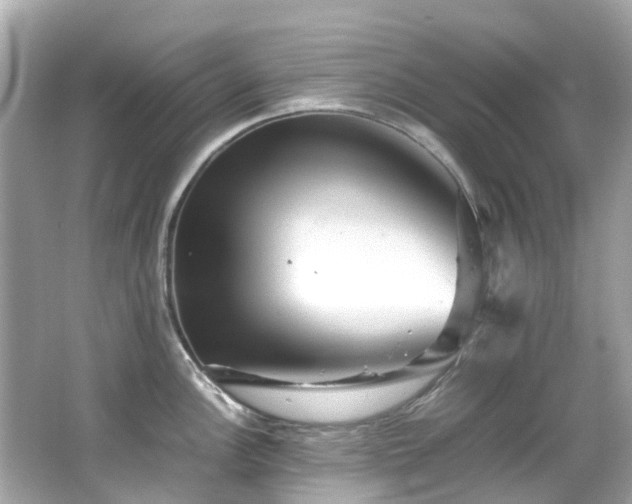 X0000066501148200603201316
