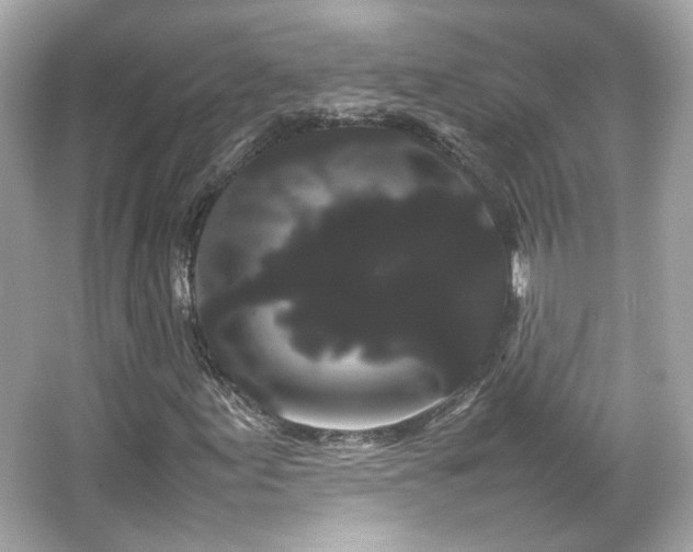 X0000066501155200603201315