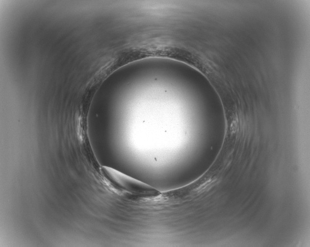 X0000066501156200603201315