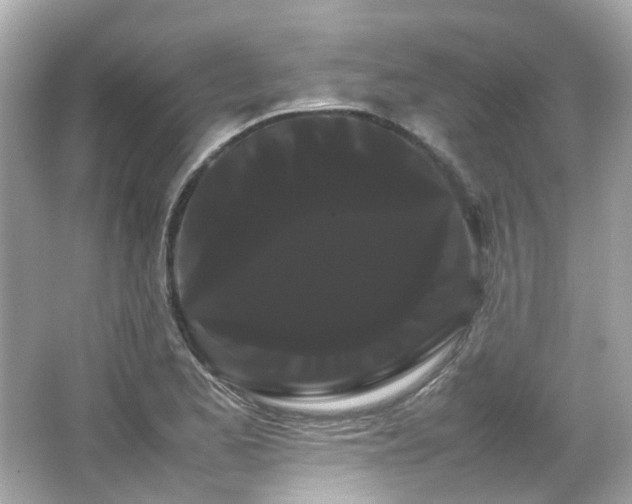 X0000066501173200603201315