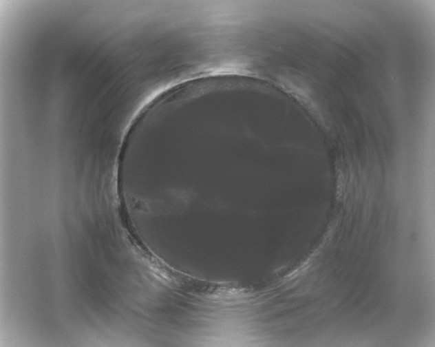 X0000066501174200603201315