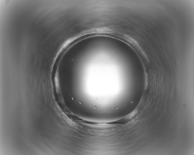 X0000066501176200603201315