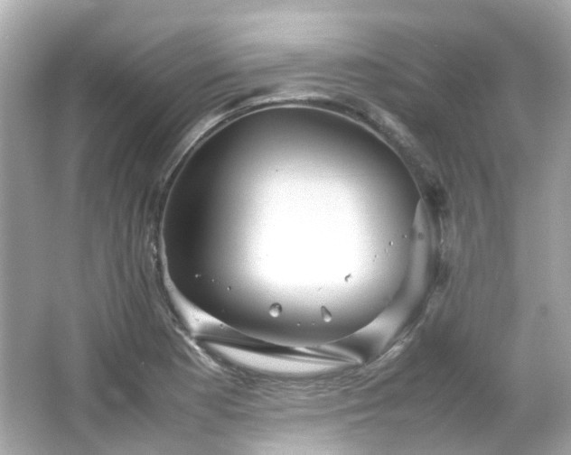 X0000066501177200603201315