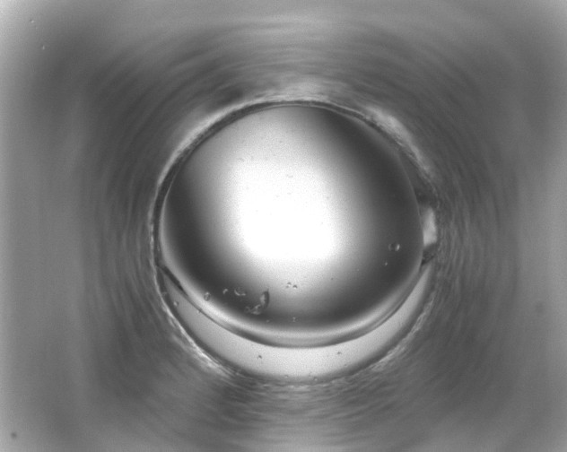X0000066501184200603201315
