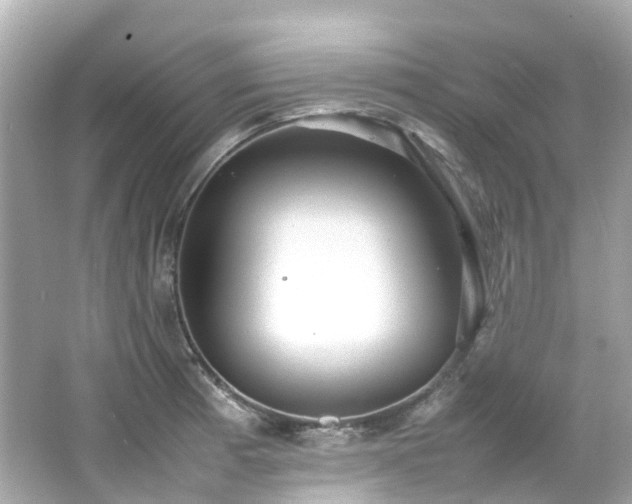 X0000066501185200603201315
