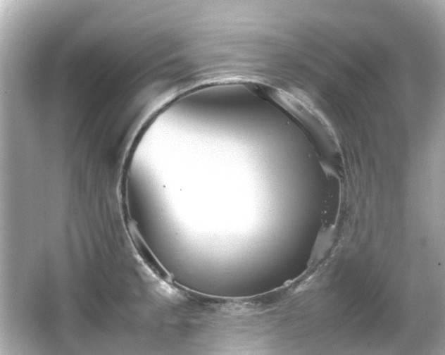 X0000066501189200603201315