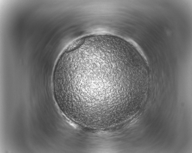 X0000066501191200603201315
