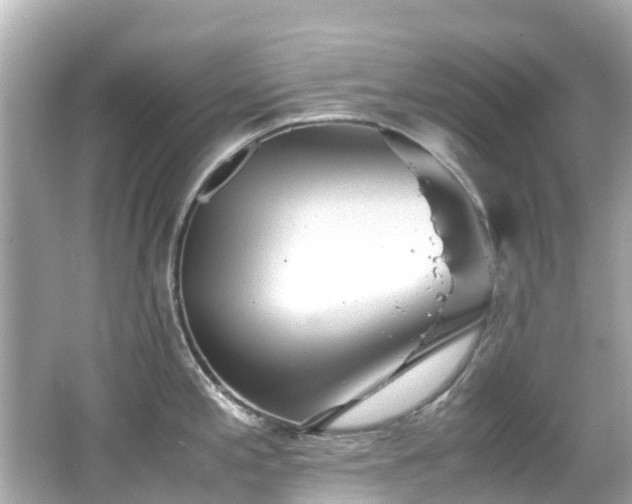X0000066501197200603201315