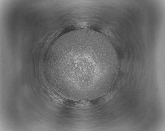 X0000066501201200603201314