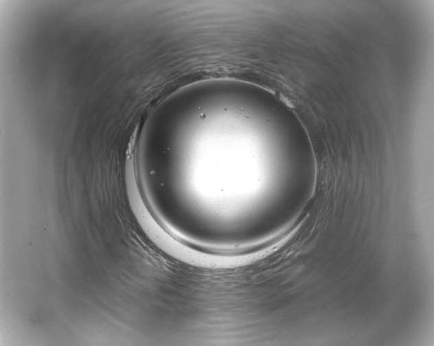 X0000066501202200603201314