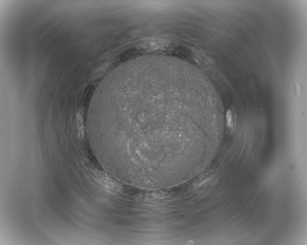 X0000066501203200603201314