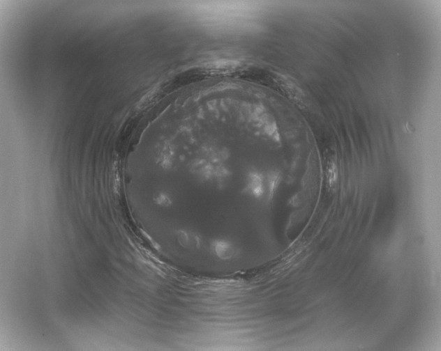 X0000066501204200603201314