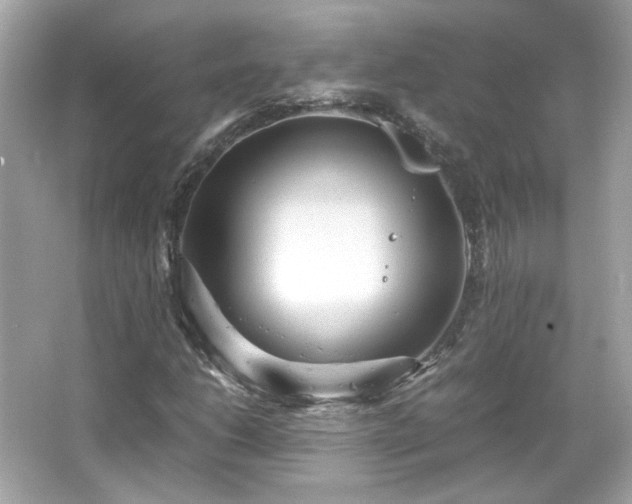 X0000066501206200603201314